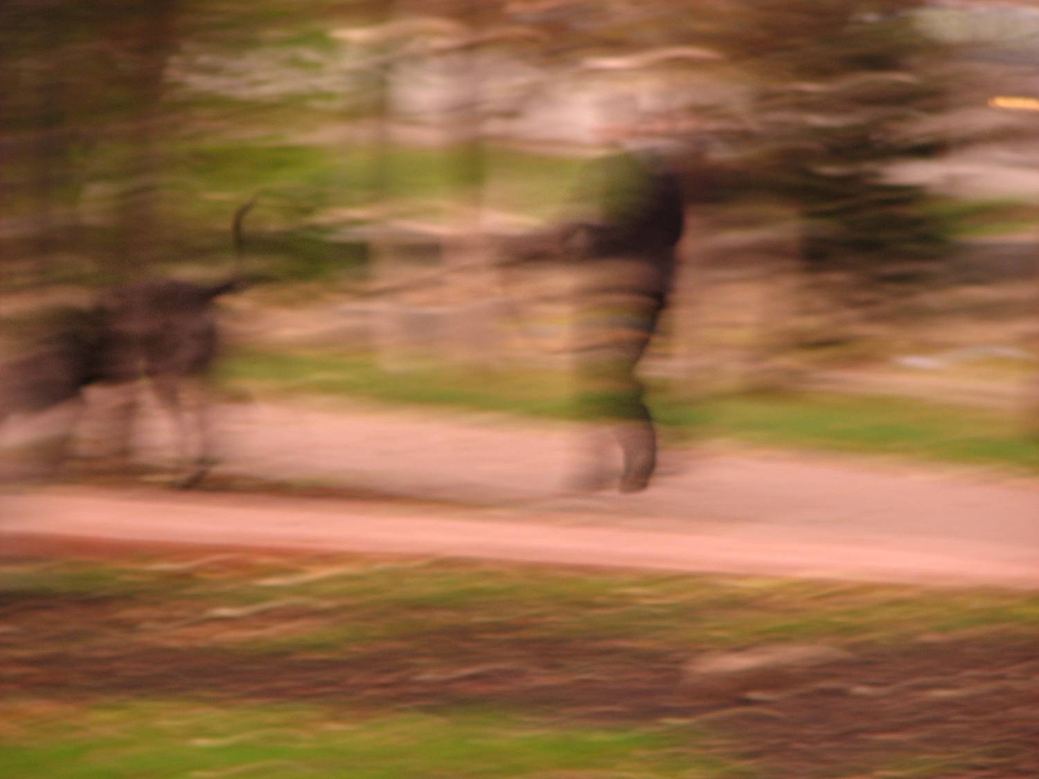 Фотография #13151935