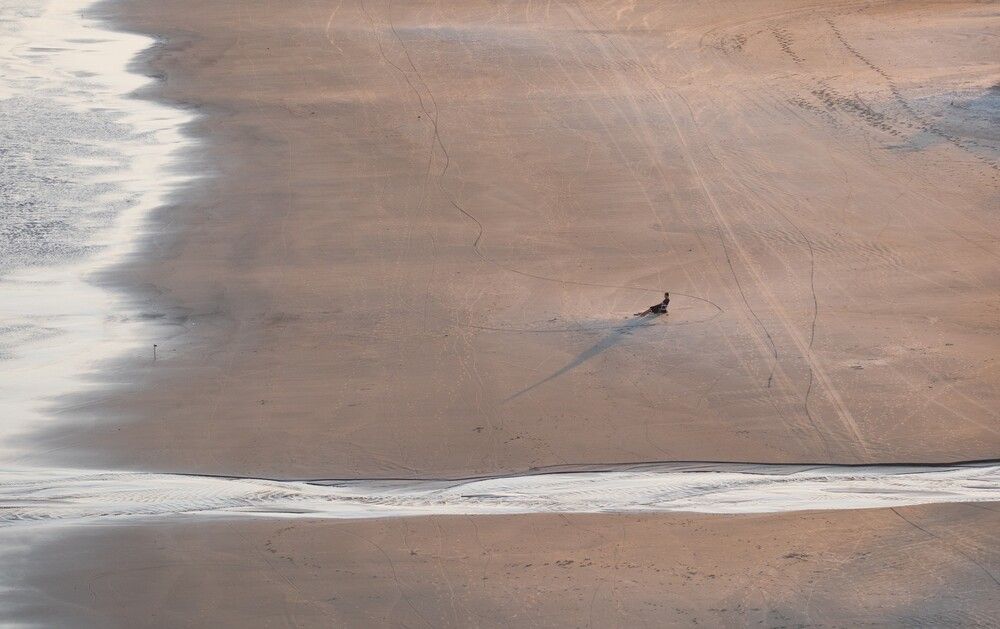 Solitude