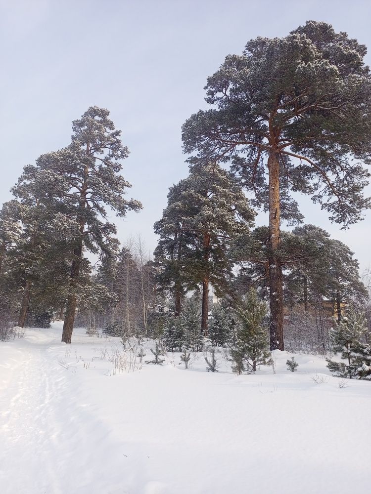 Photo #13151969