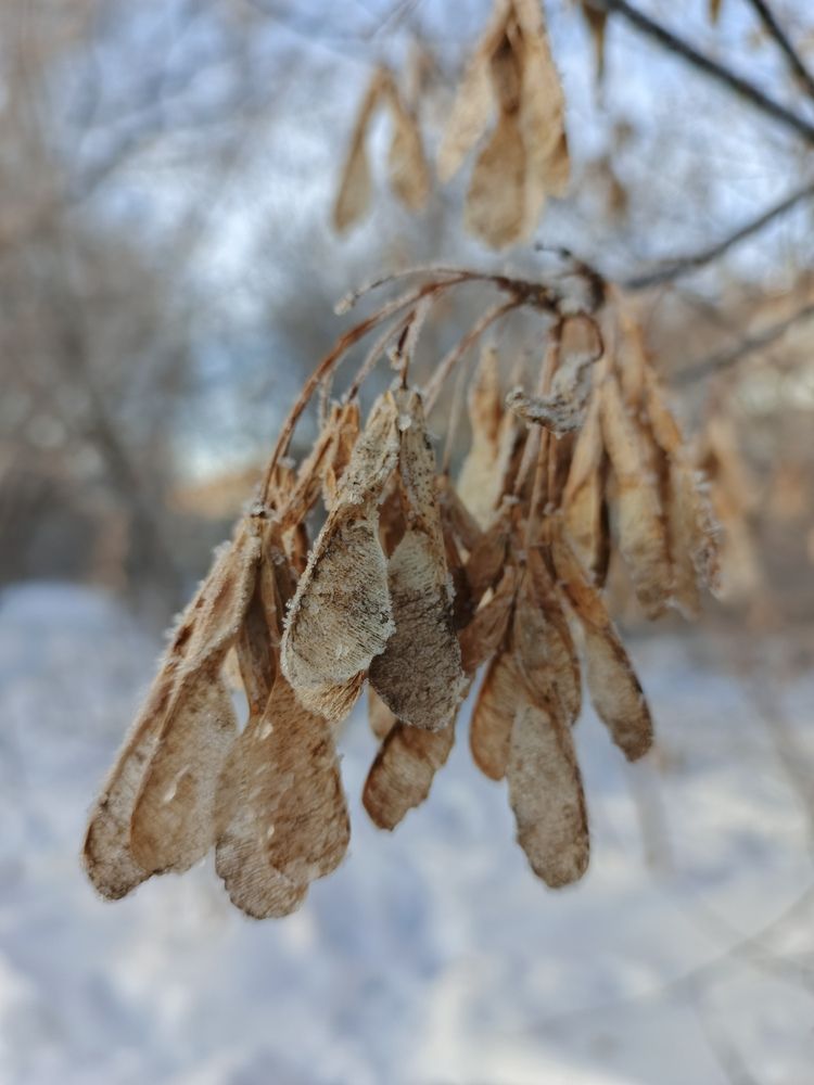 Photograph by Татьяна Малькова