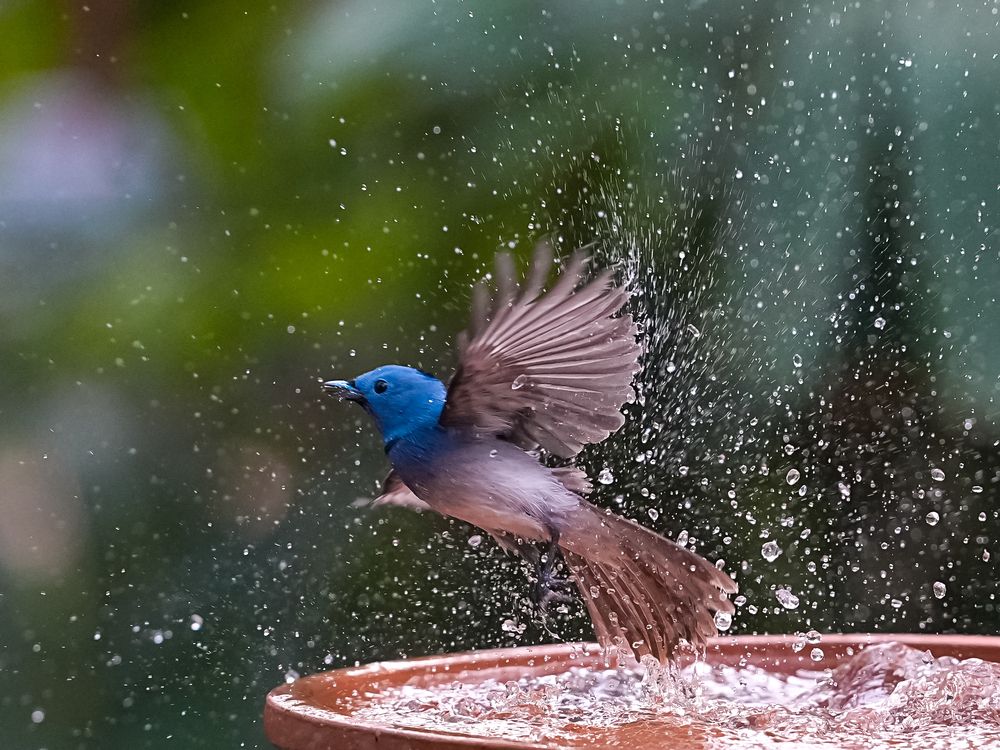 Photograph by Sahil K