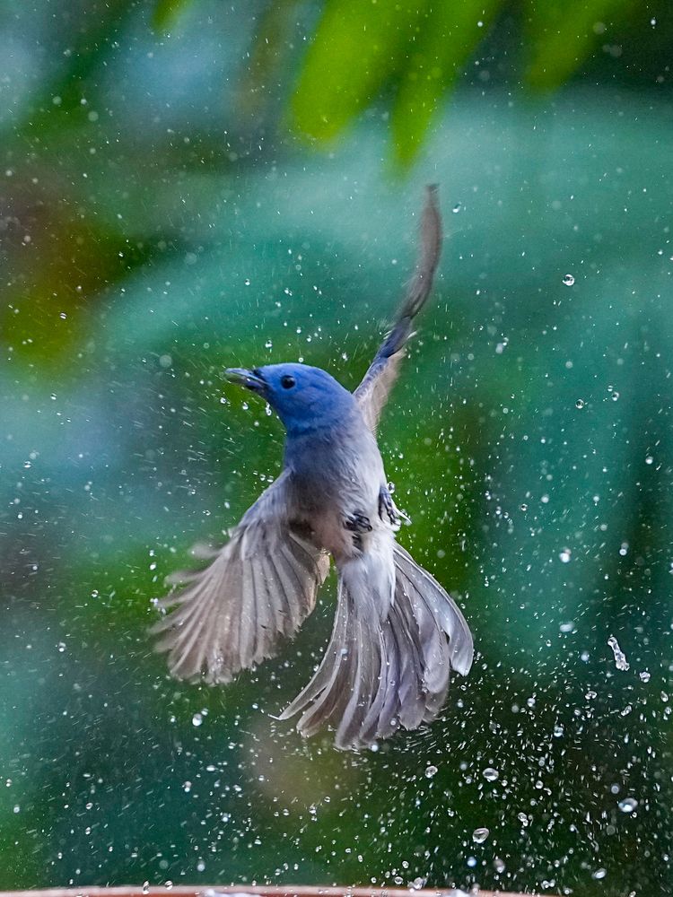 Photograph by Sahil K