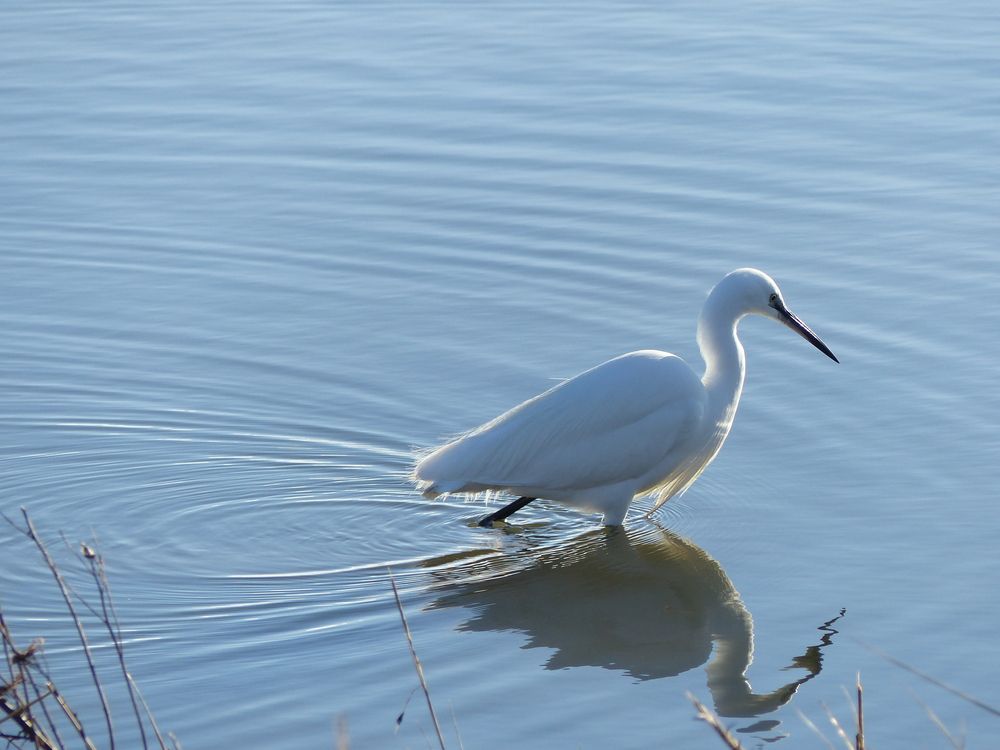 Photograph by Isabella Northrop