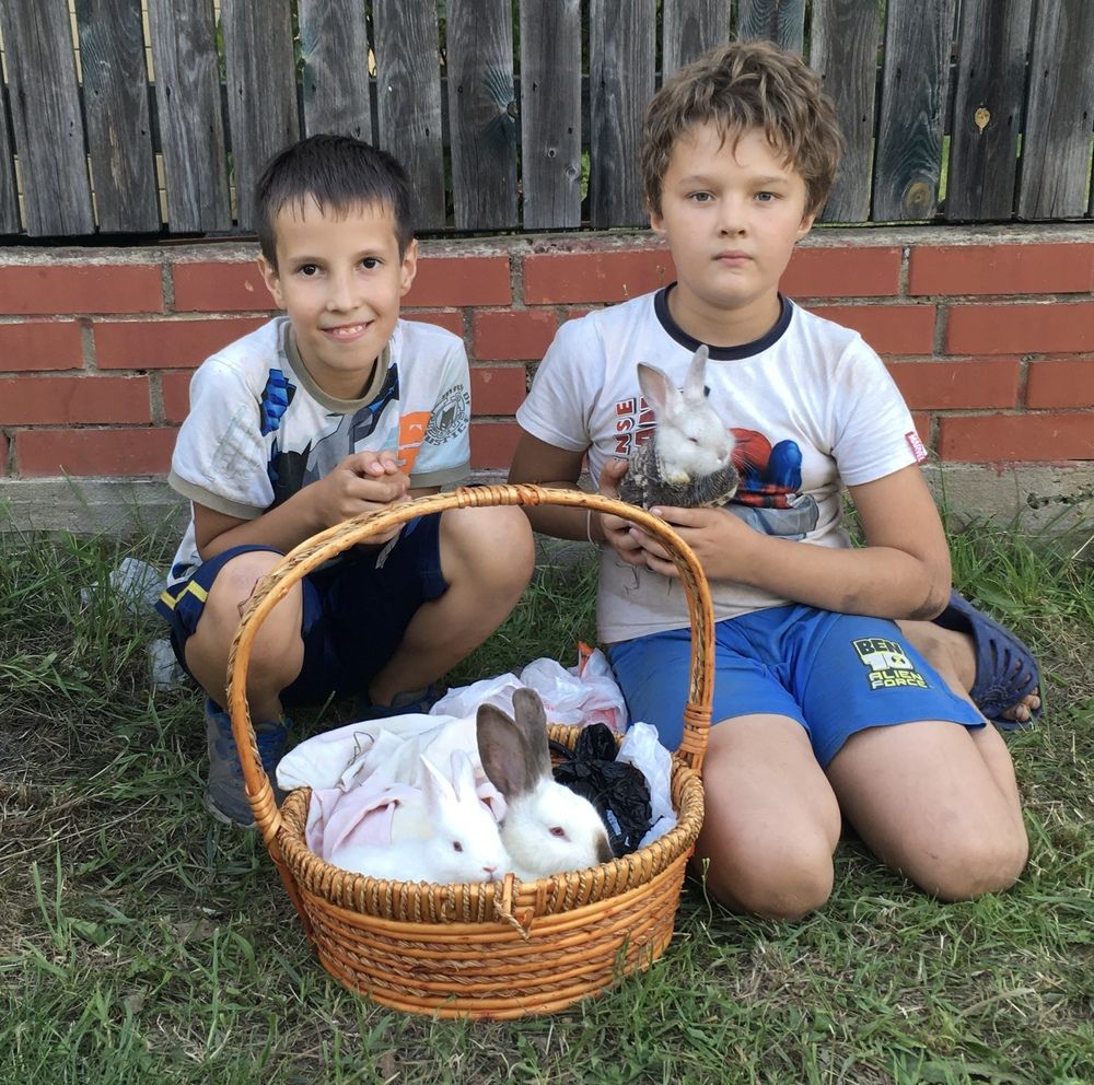 Photograph by Игорь Ребров