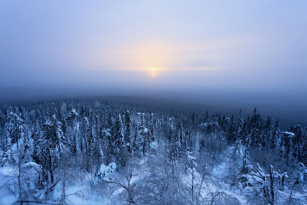 Photograph by Алексей Федотов