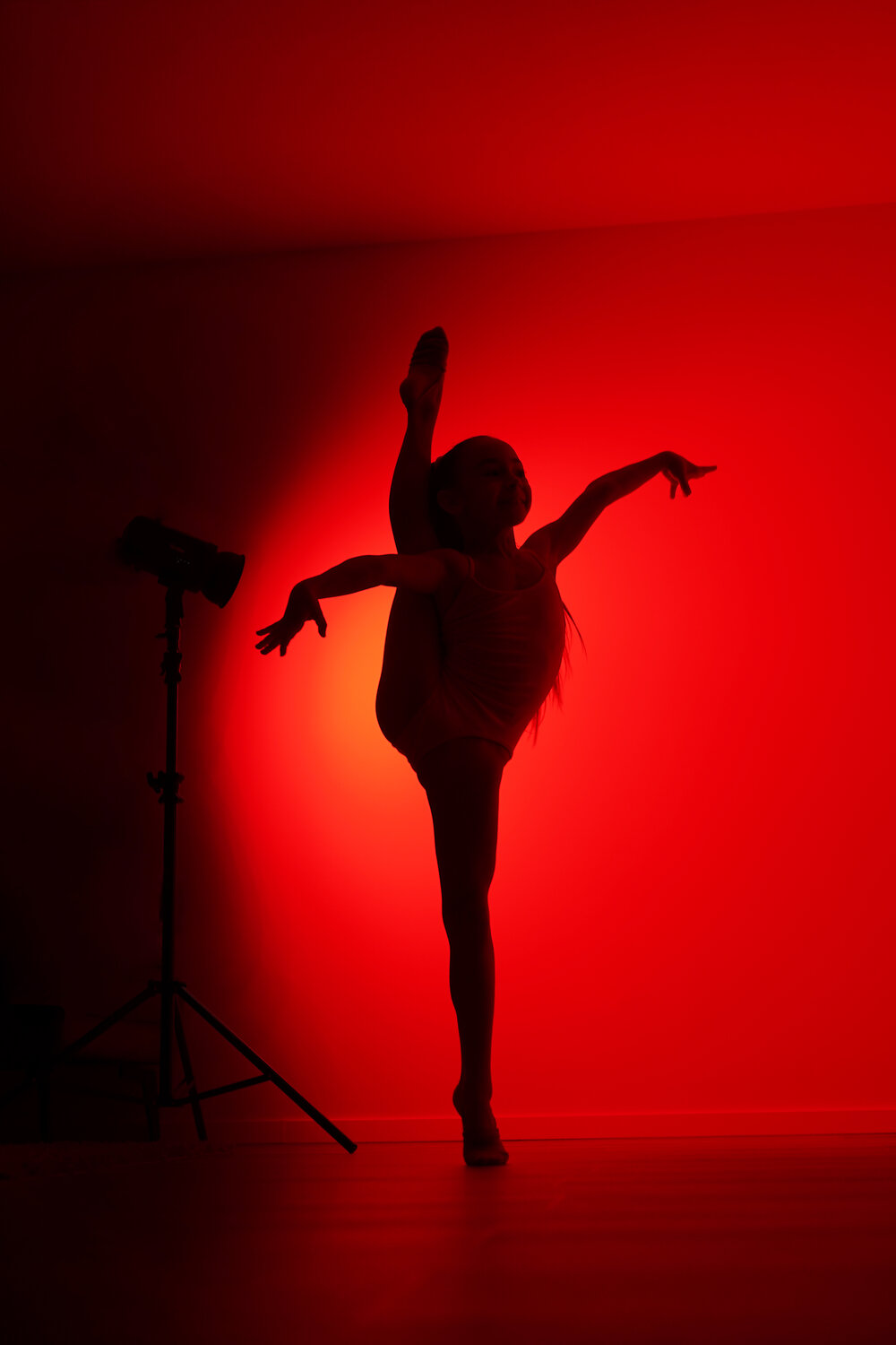 Photo #13152080