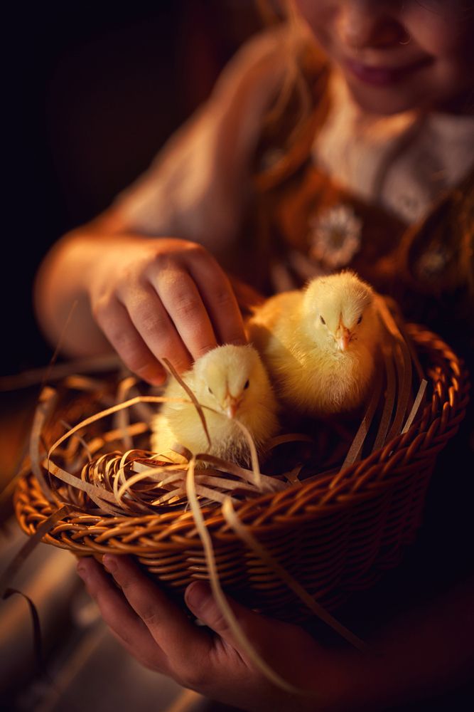 Photograph by Наталья Александрова