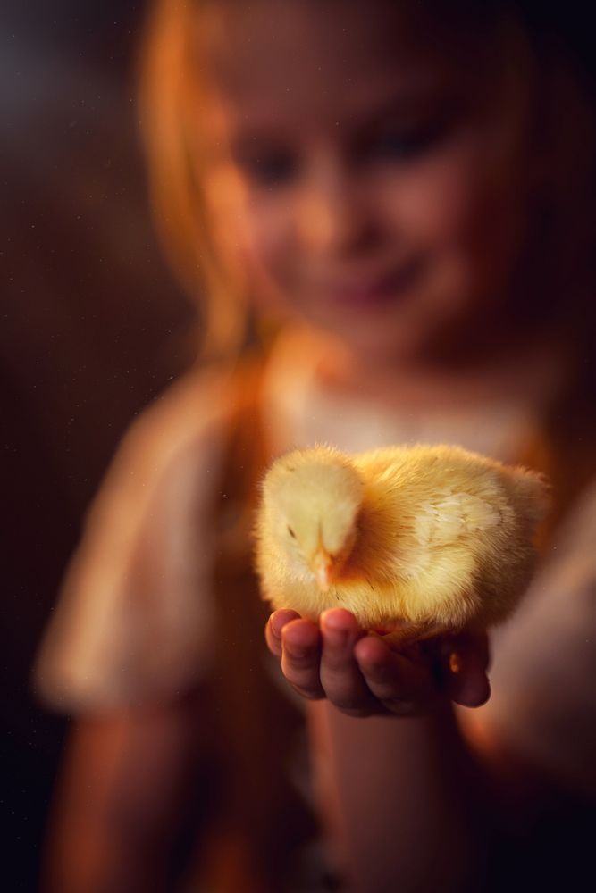 Photograph by Наталья Александрова
