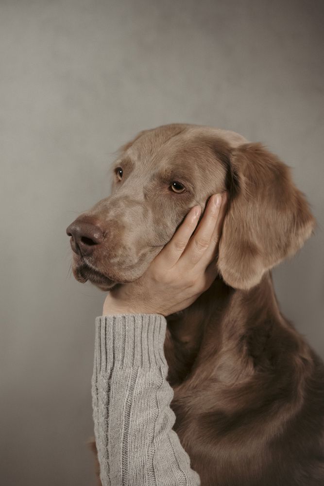 Фотография автора Александра Сивер