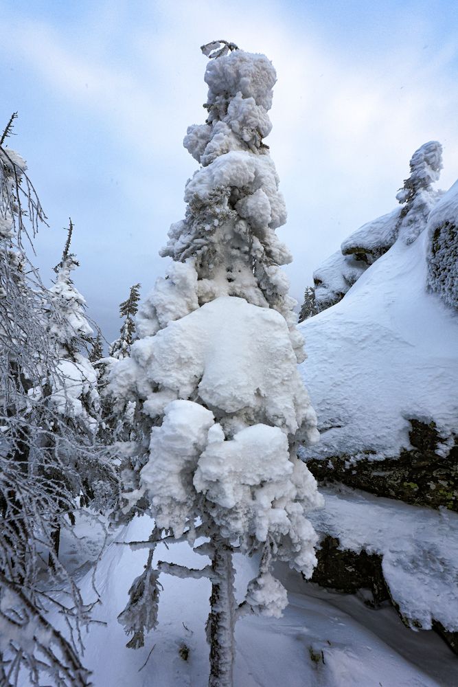 Photograph by Алексей Федотов