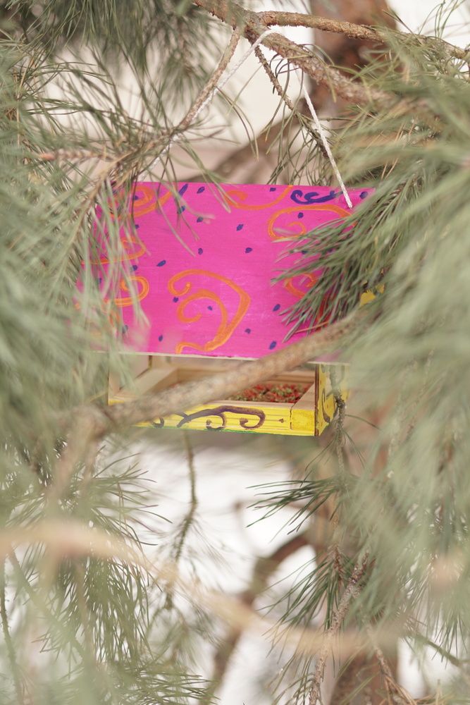 Photo #13152178