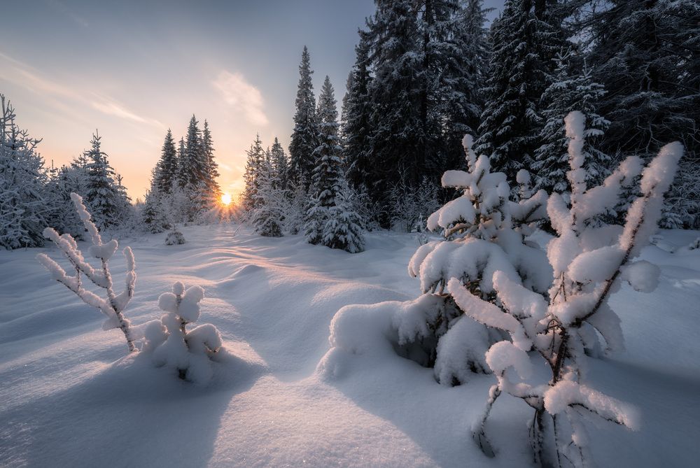 Photograph by Алексей Турчин