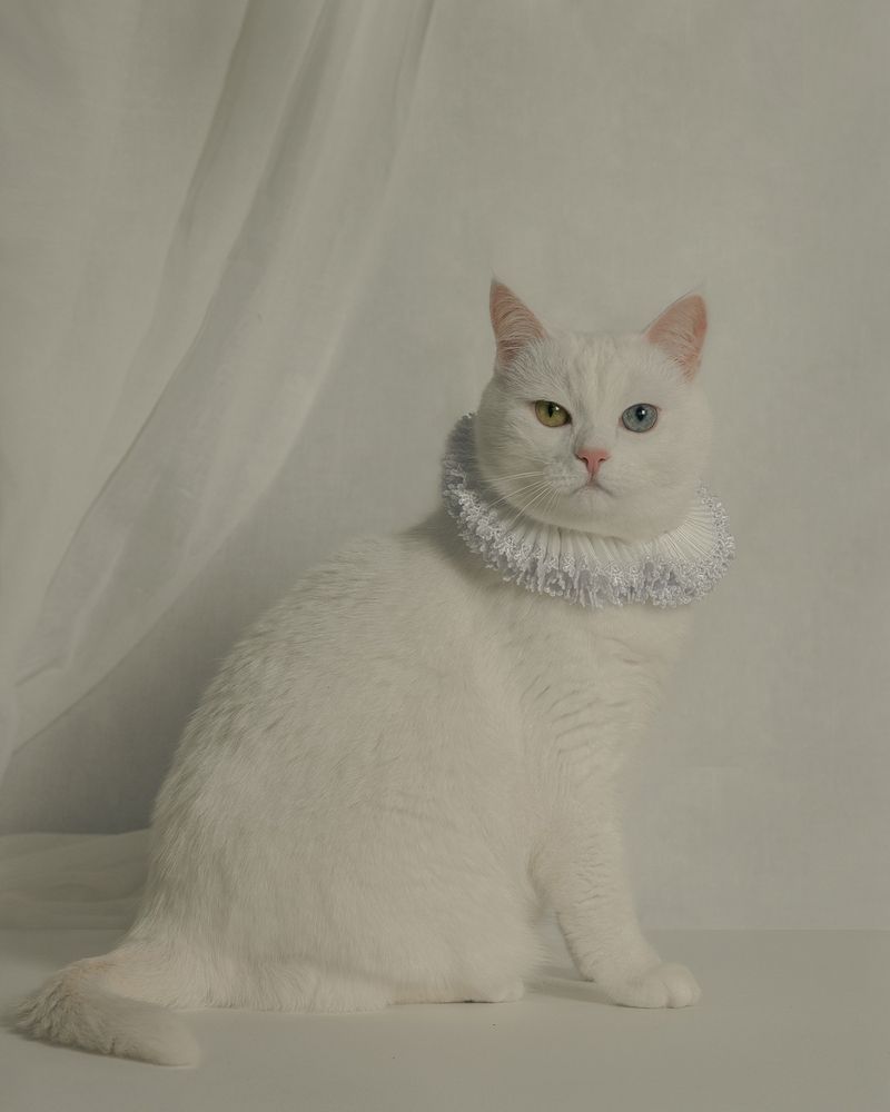 Photograph by Ivanova Ekaterina