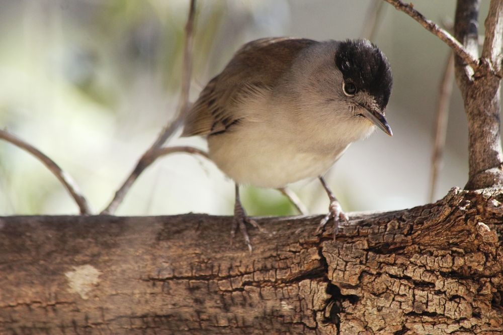 Photograph by Nadzeya