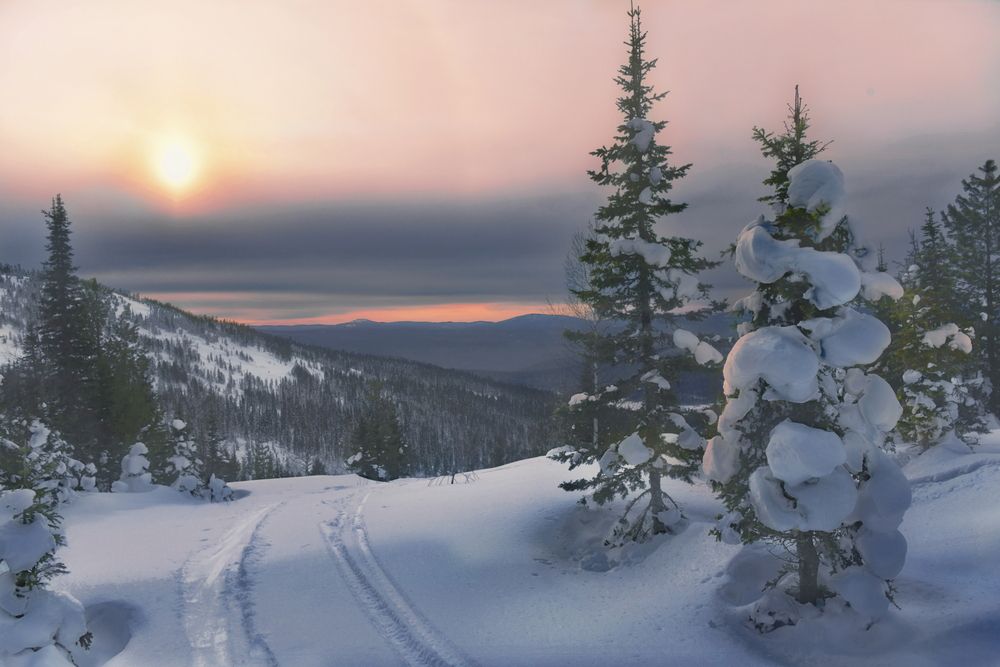 Photograph by Крат Светлана