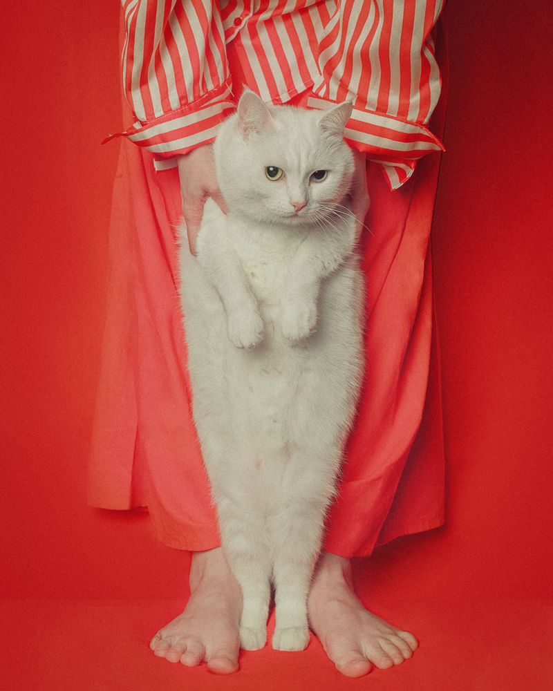 Photograph by Ivanova Ekaterina