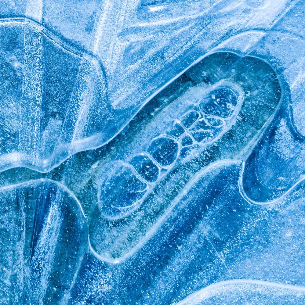 Photograph by Денис Давыдов