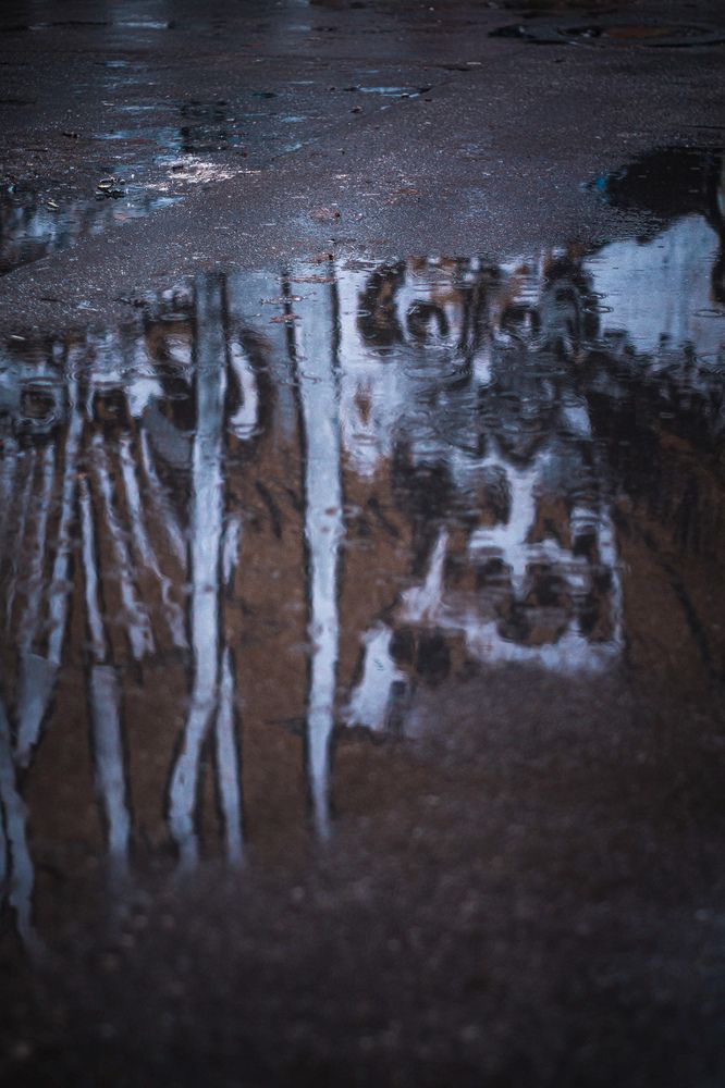 Photograph by Татьяна Иванеева