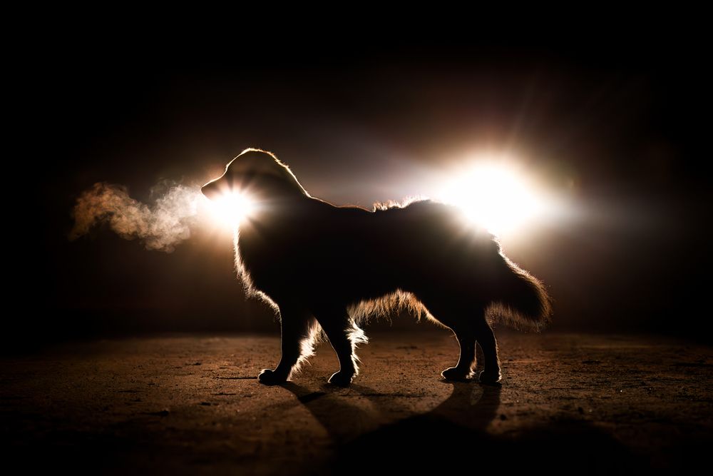 Photograph by Sina Möller