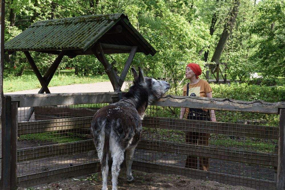 Взаимное чувство