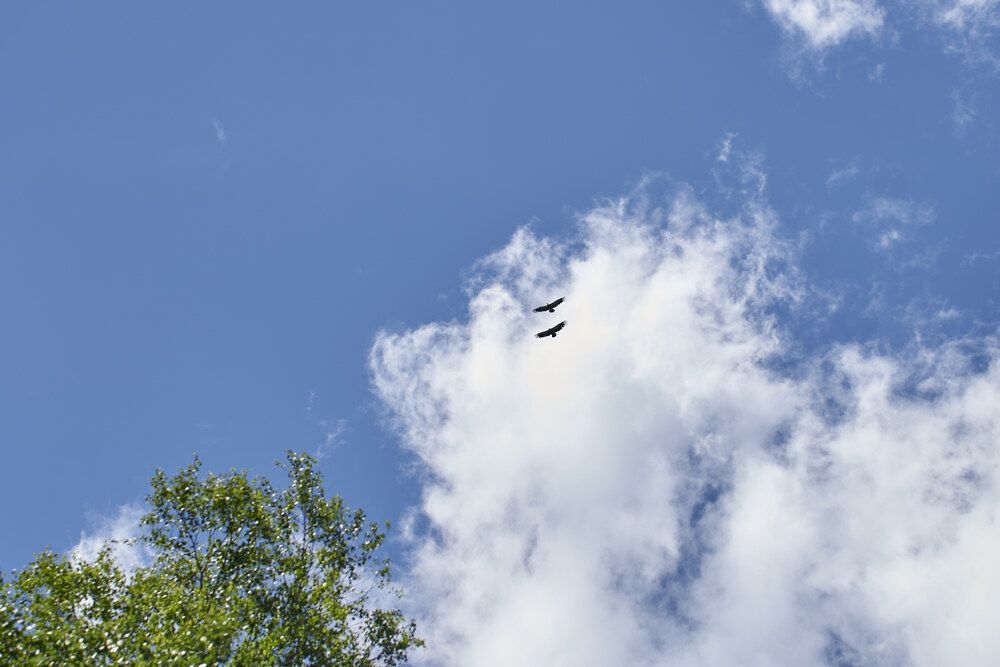 Photograph by Максим Карпович