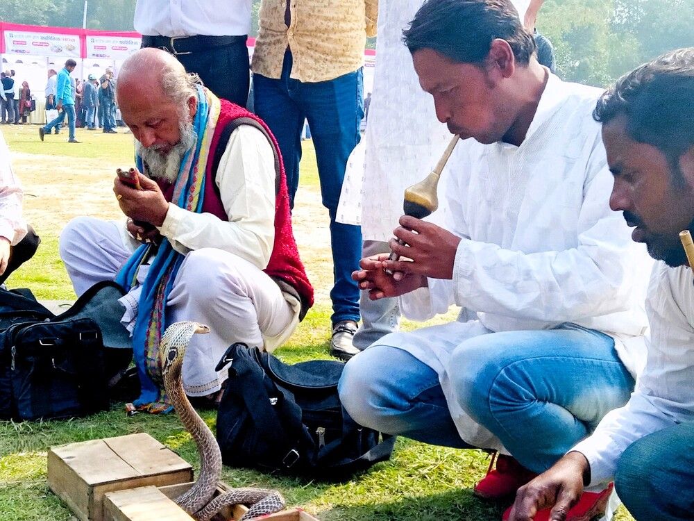 Photograph by Md Rizwanullah Shuvo