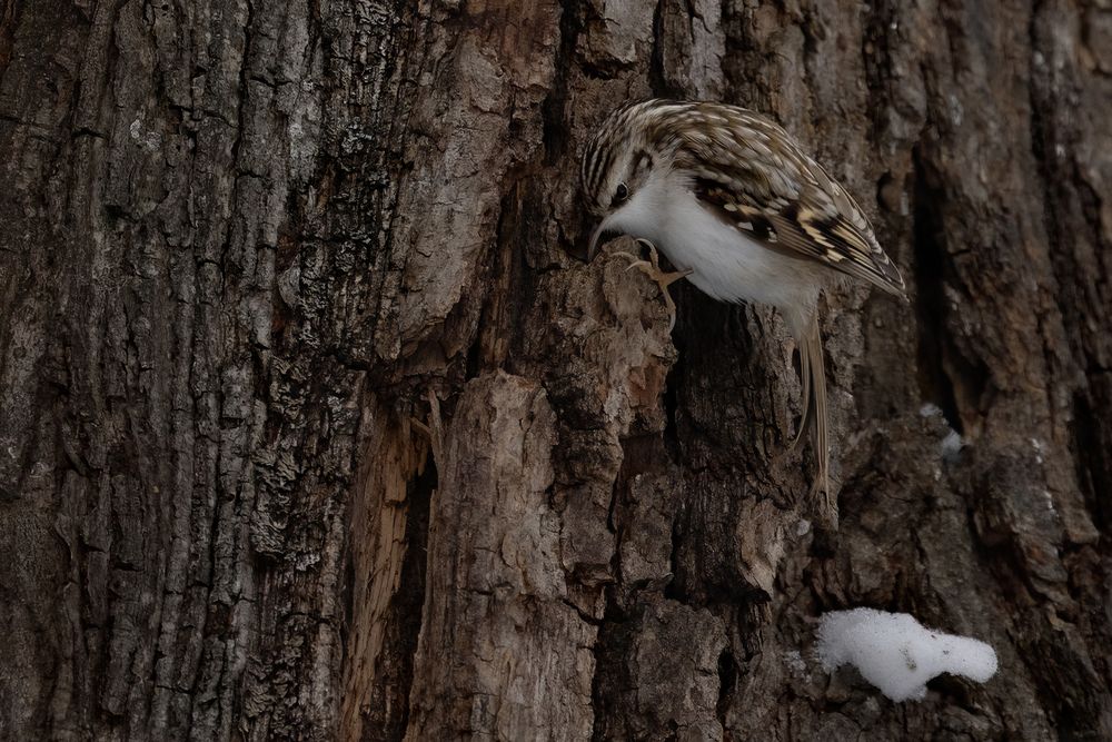 Photograph by Марат Кучкаев