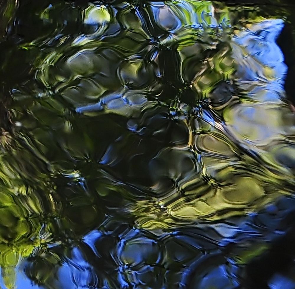 Фотография автора Светлана