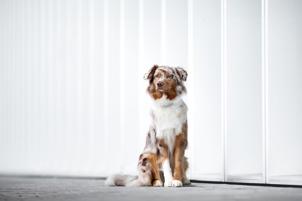 Photograph by Sina Möller