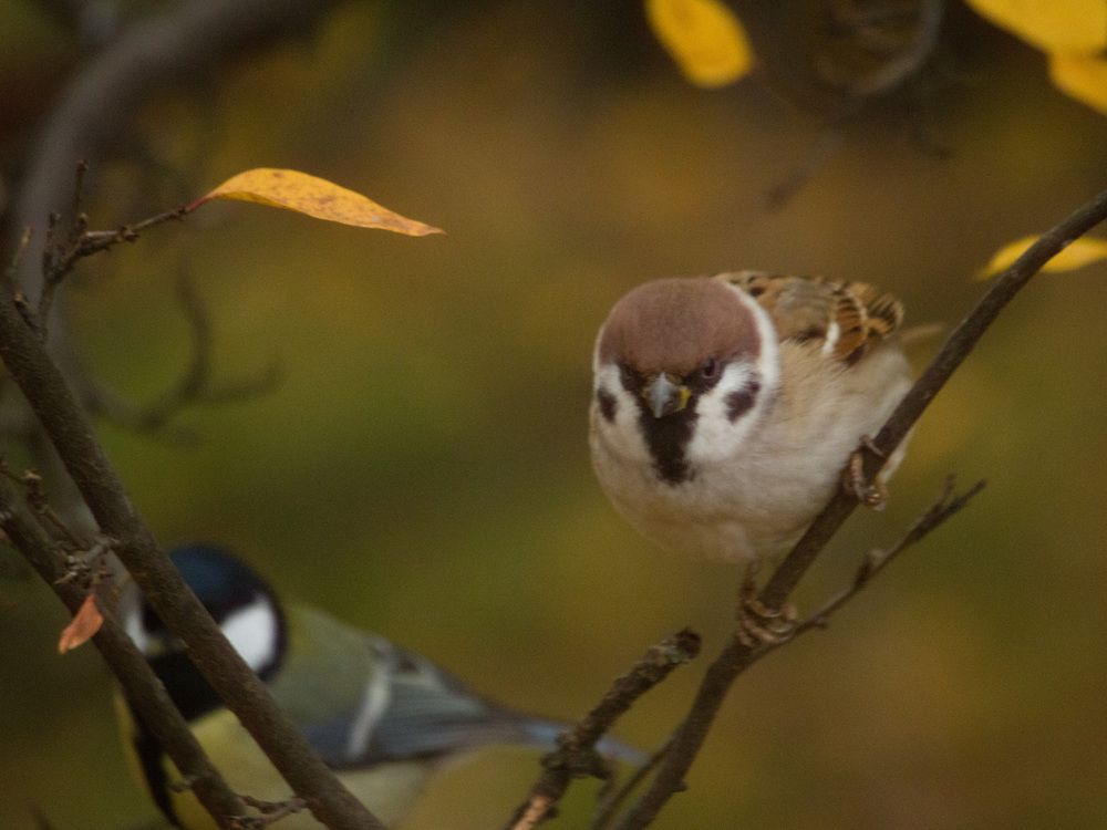 Фотография автора Надежда Надежда