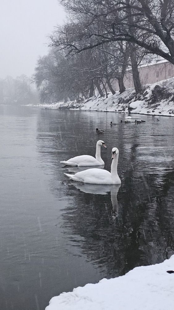 Photograph by Александр Петуховский