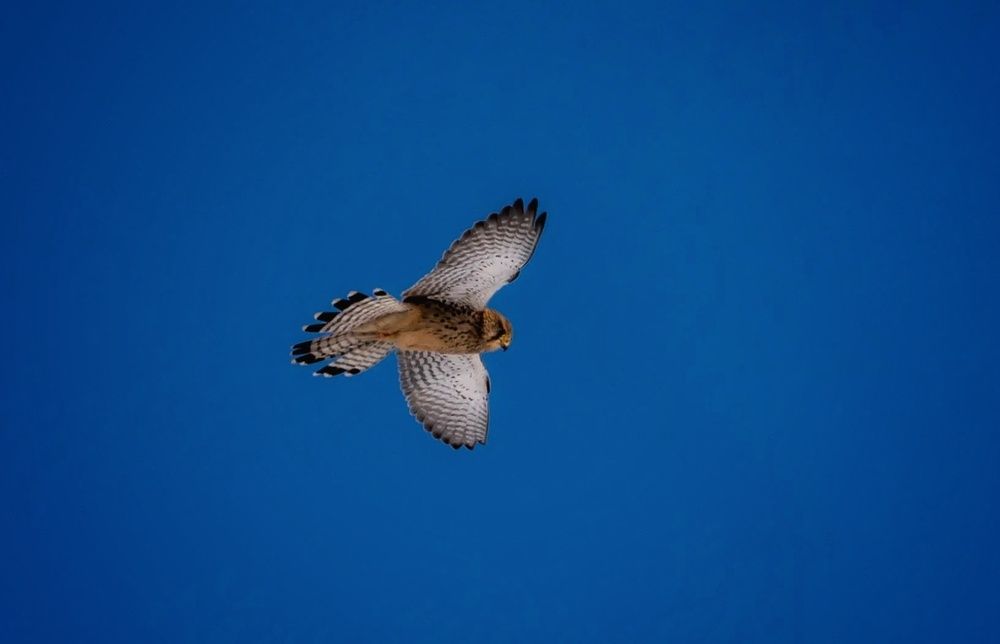 Photograph by Anna Rvanzeva