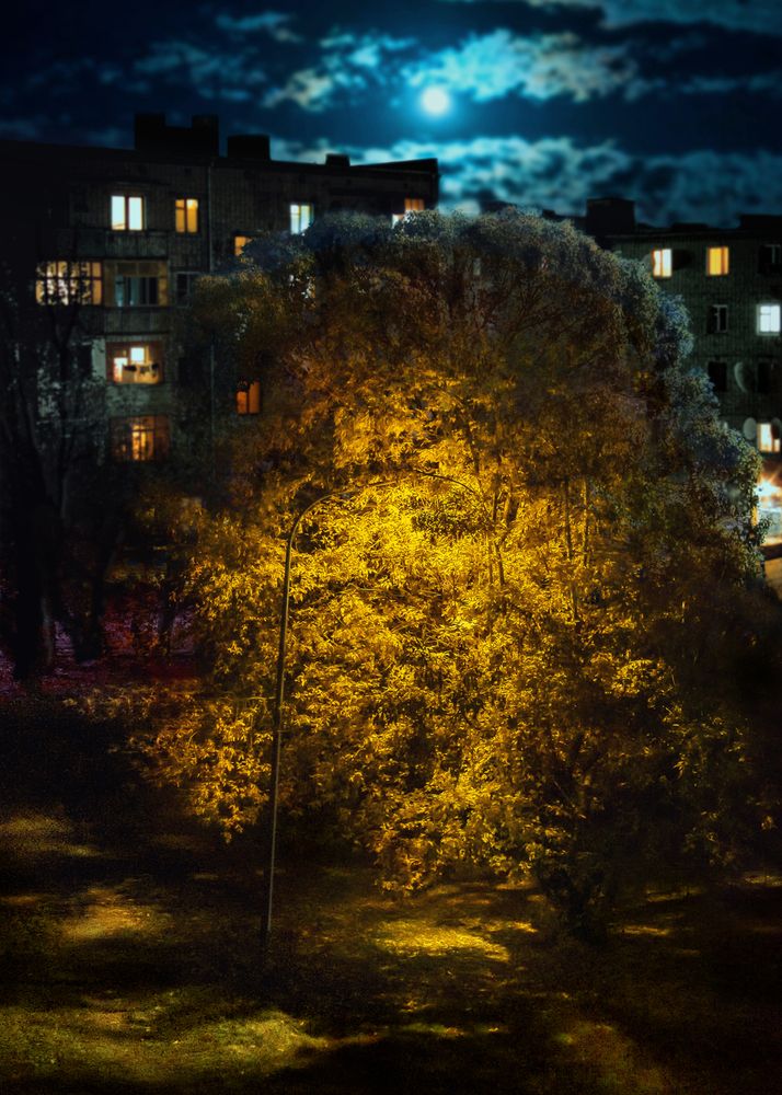 Photograph by Борис Бабиков