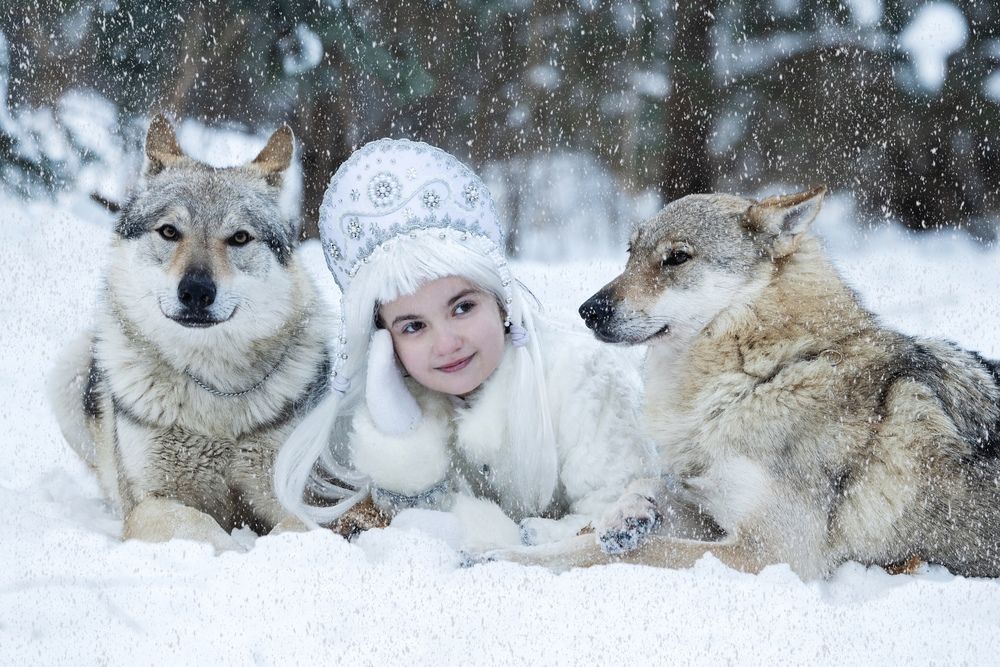 Фотография автора Tatiana Zharkova