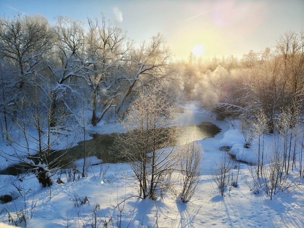 Photograph by Кондрашова Светлана