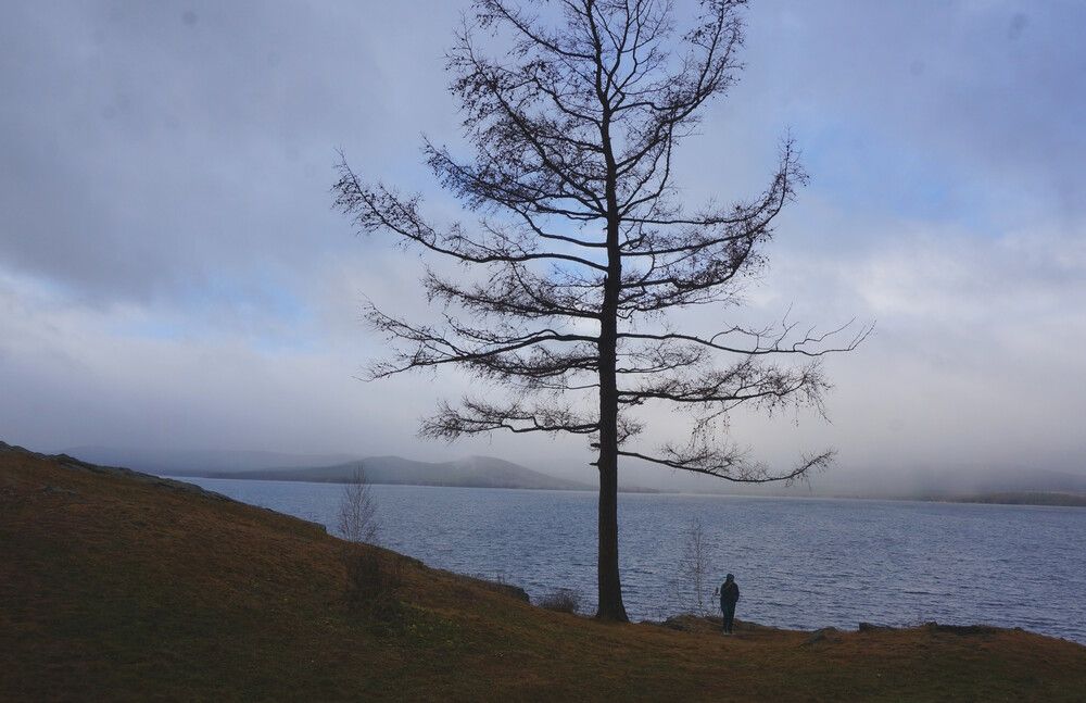 Photo #13152660