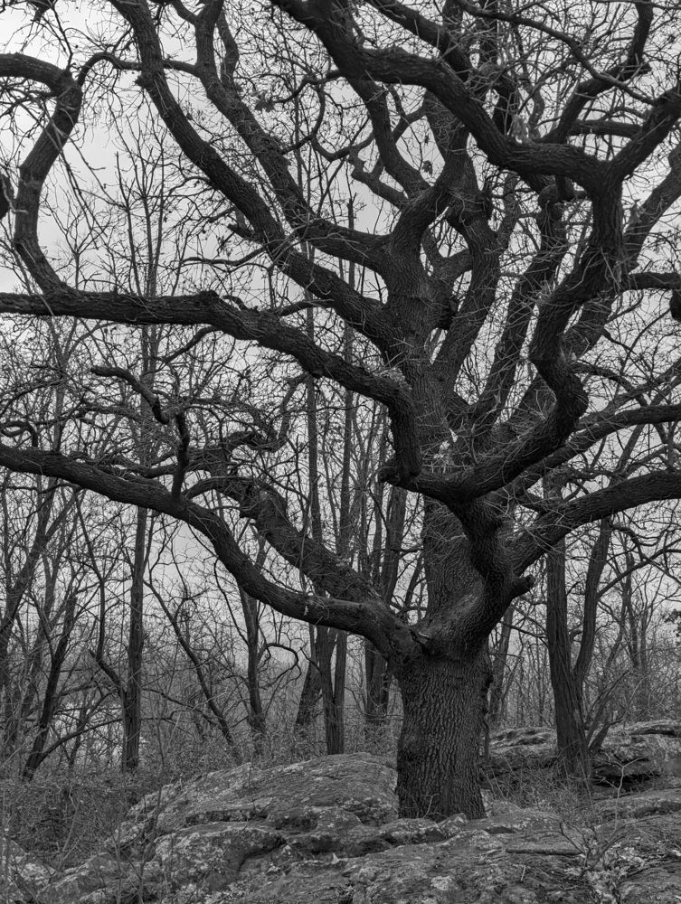Photograph by Marina Razheva