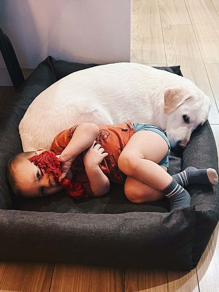 Photograph by Татьяна Волохова