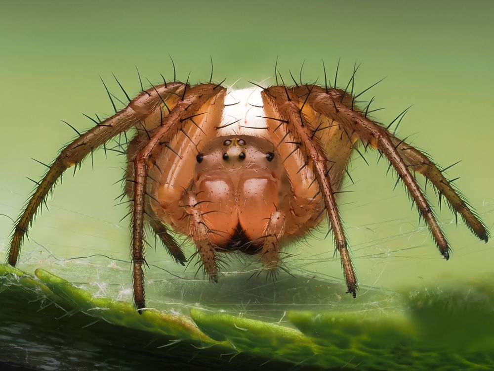 Фотография автора what.fred.saw