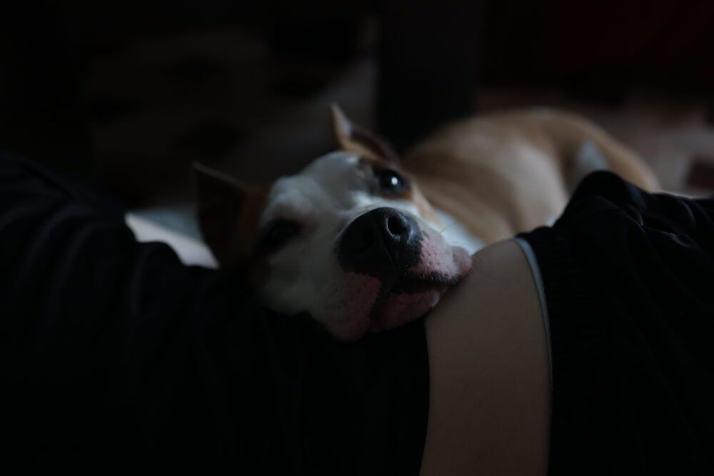 Photograph by Наталья Сафронова