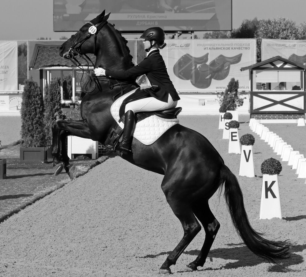 Photograph by Сергей Маслов