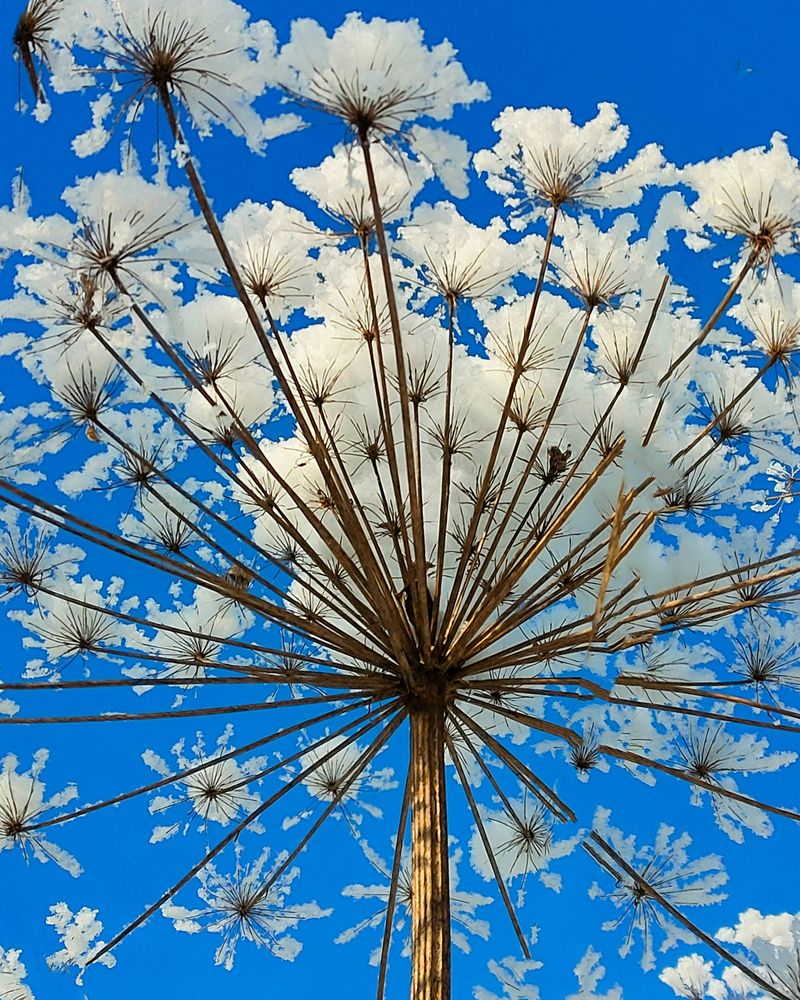 Photograph by Татьяна Пантеева