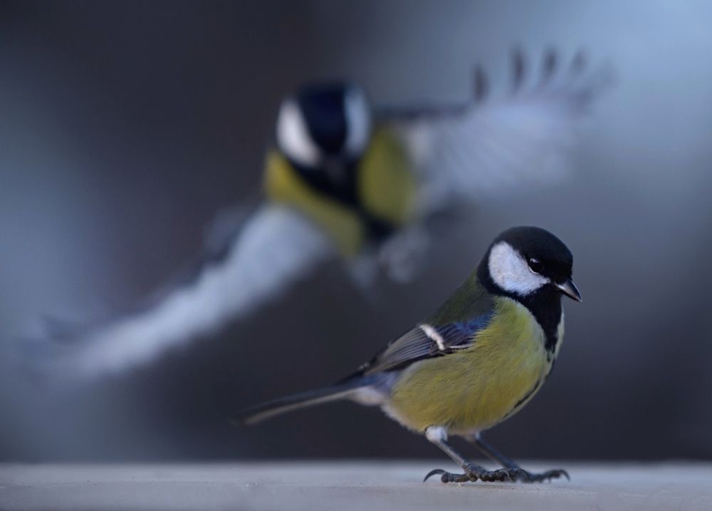 Photograph by Баранов Олег