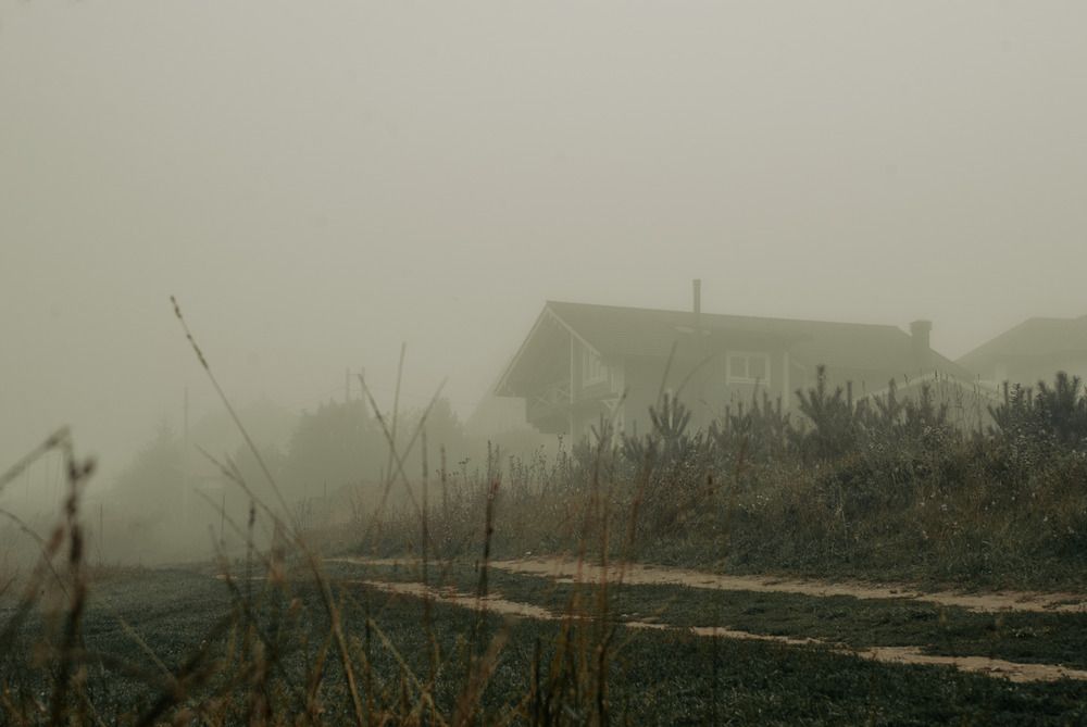 Photograph by Милена Полтавец