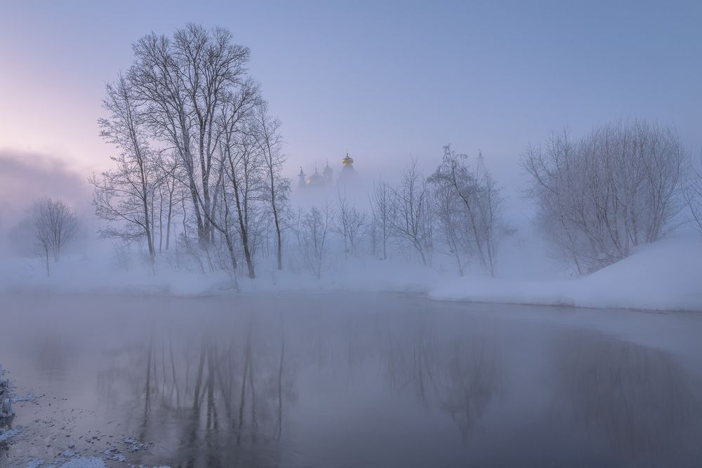 Фотография автора Елена Гусева
