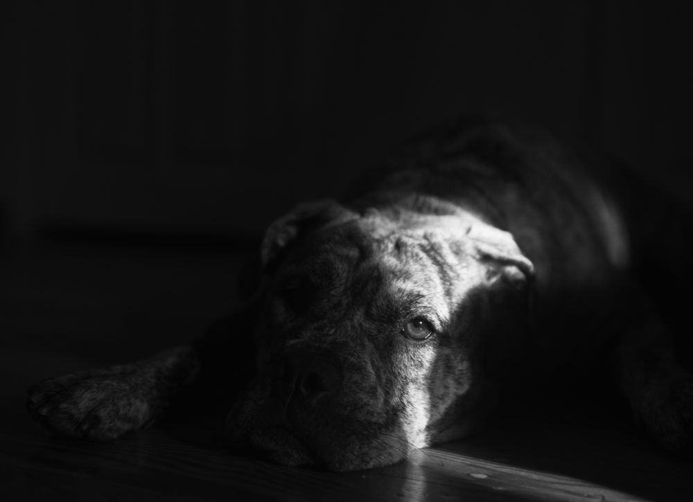 Photograph by Ирина Сафонова