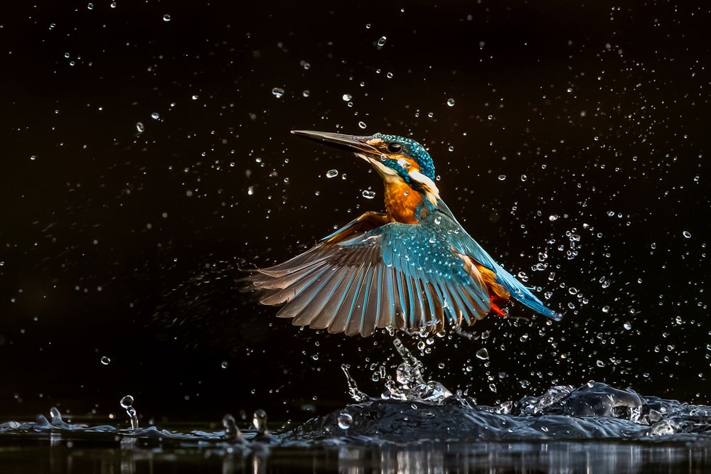 Taking off with flying colours!