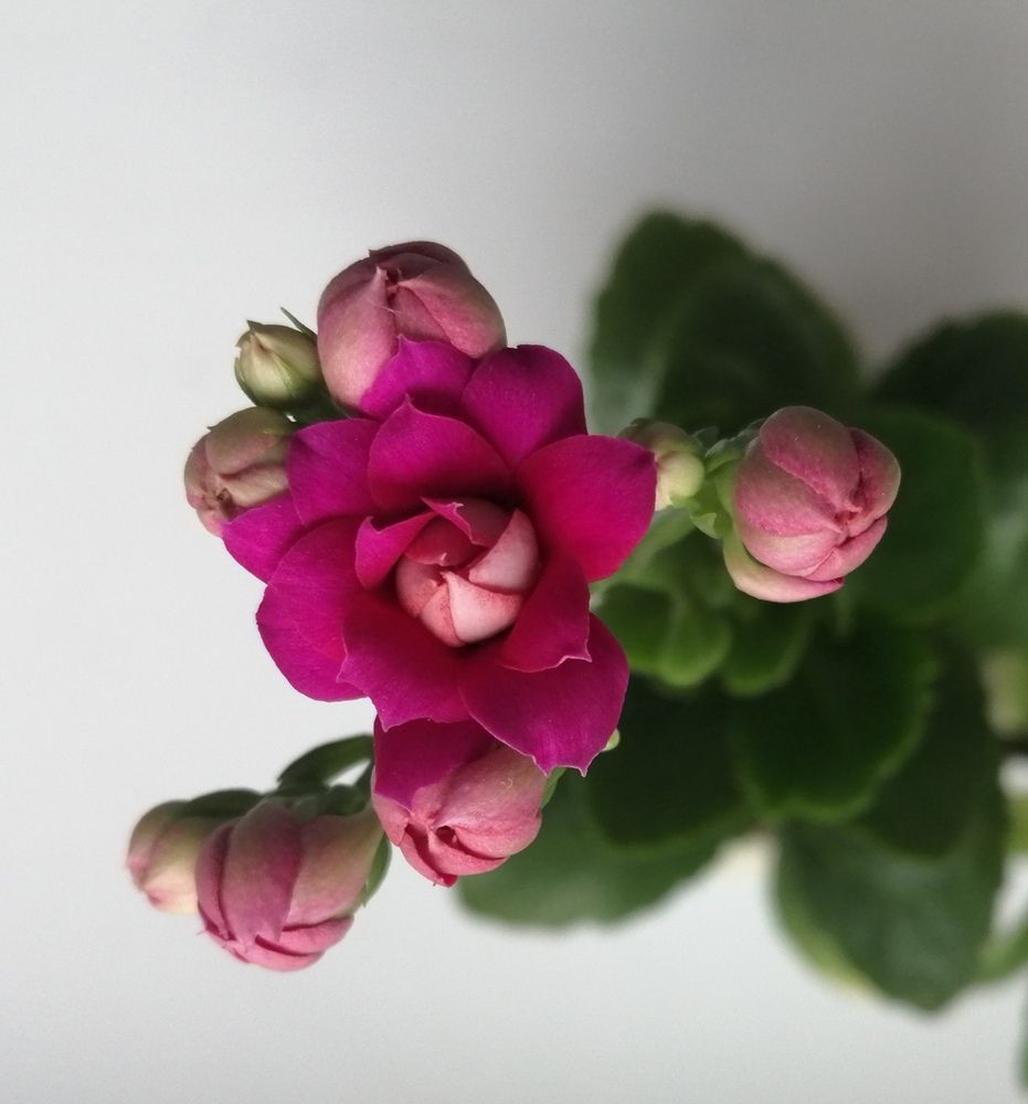 Photograph by Кузьмичева Екатерина Васильевна
