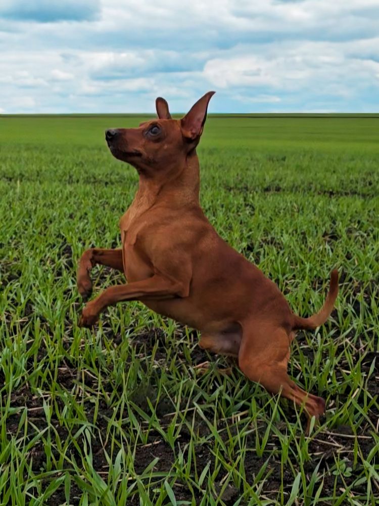 Photograph by Ирина Хлебникова