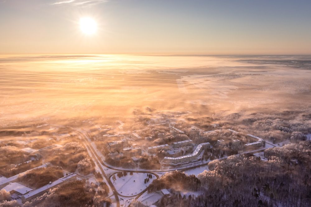 Photograph by Mark Devender